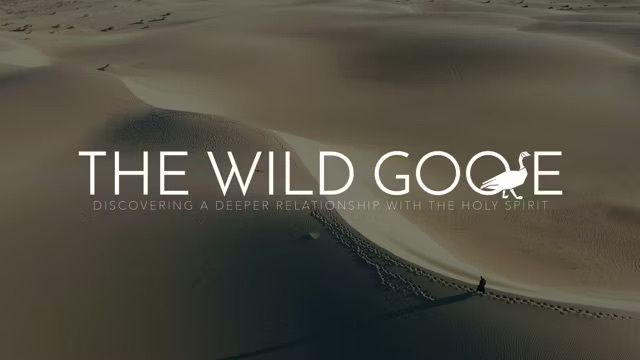 wild goose tv